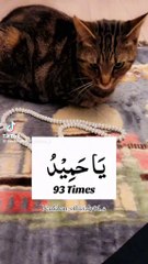 Islamic quick answer and jawab Ramzanmubarak