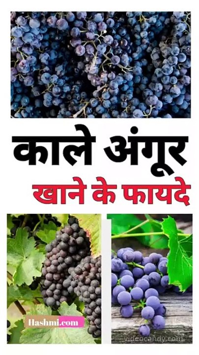 Benefits Of Eating Kale Angur