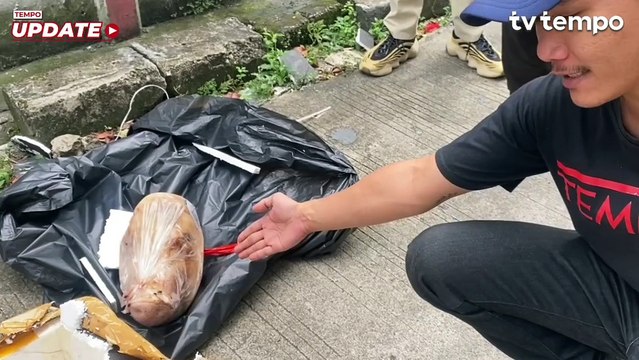 Pakar Hukum UGM Desak Polisi Usut Teror Kepala Babi ke Tempo