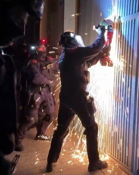 Desarticulado un grupo criminal dedicado al tráfico de marihuana en Barcelona: 13 detenidos y 5.000 plantas incautadas