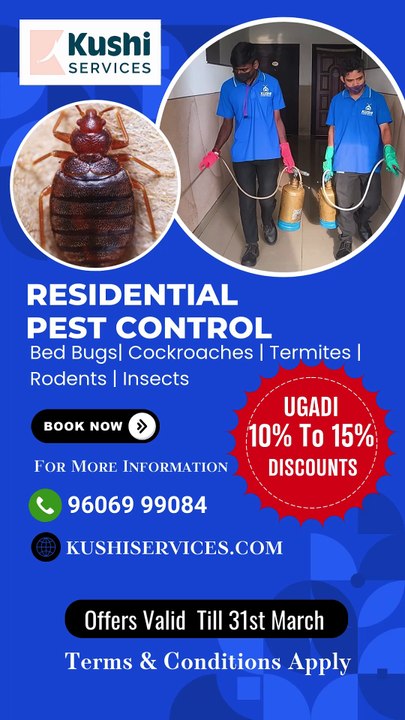 Pest Control Services – Safeguard Your Space from Unwanted Invaders
