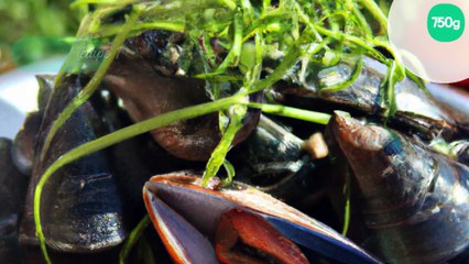 Moules au thym