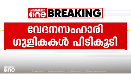 കൊല്ലത്ത് വൻ തോതിൽ വേദനസംഹാരി ഗുളികകൾ പിടികൂടി