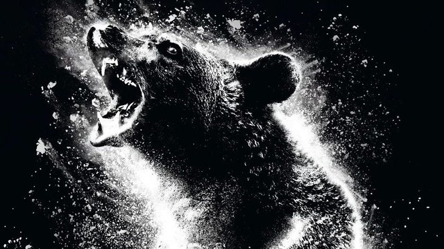 Fou Mais Vrai : un ours a fait une overdose et ça a fait un film !