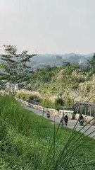 Kereta cepat Whoosh - Jembatan kereta api yang luar biasa ini sungguh mengesankan! Apa pendapat kalian tentang pemandangannya? Berbagi pengalaman atau kisah kalian tentang perjalanan kereta di kolom komentar!