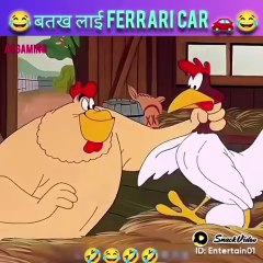 🤣😆😂 The FUNNIEST Animal Videos You've Ever Seen #DailymotionComedy