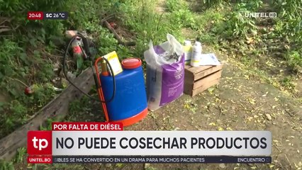 El pimentón se pudre en los Valles cruceño por falta de combustible y precio de químicos