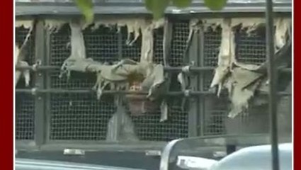 अजनाला कोर्ट में अमृतपाल की पेशी, सामने आया वीडियो