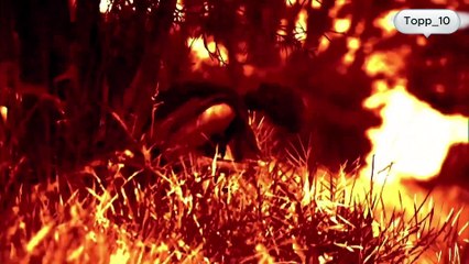 Genesis Episodes Part 04 English Audio Biblical