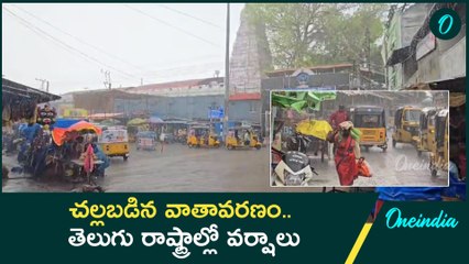 Rains - హమ్మయ్య వర్షం కురిసింది. భూమి చల్లబడింది | Oneindia Telugu