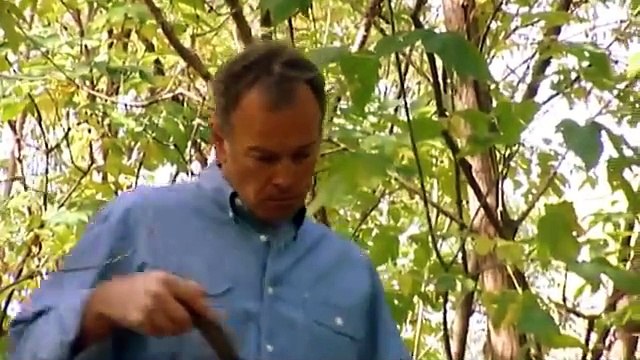 Air Crash Investigations Mayday - S02 E04 - Deadly Crossroads Überlingen mid air collision