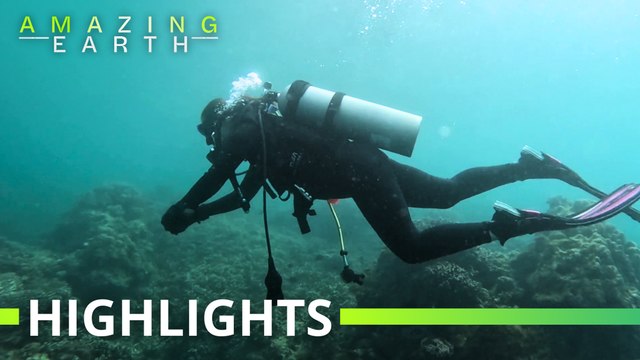 Amazing Earth: Sandy Riccio leads coastal cleanup in Batangas!