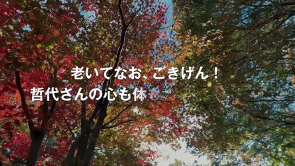 感動の実話！104歳の哲代さんが一人暮らしを続ける日常✨ - thumbnail