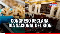 Congreso: Pleno aprueba declarar Día Nacional del Kion en medio de crisis de inseguridad