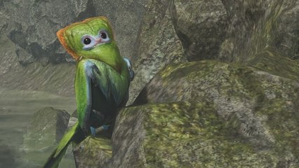 Monster Hunter Wilds: Wir fangen einen Zierflügler