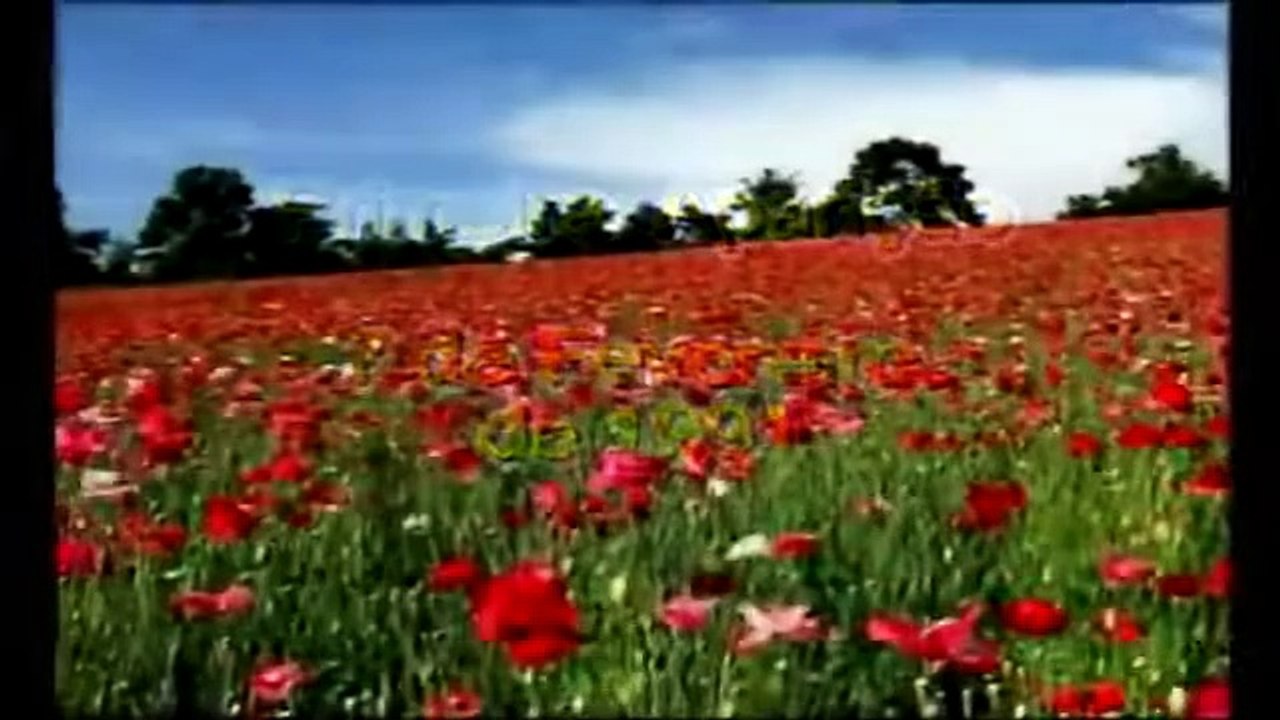 VOZES  DO CÉU 3 - AS_APARICOES_DE_NOSSA_SENHORA_EM_JACAREI-ANO_2008-MARCOS TADEU