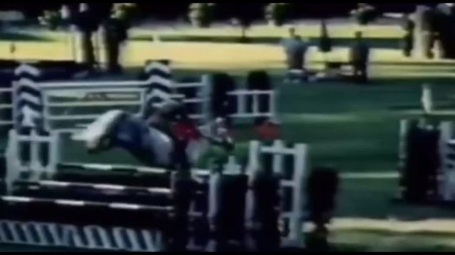 Equitazione, un francobollo dedicato a Raimondo d'Inzeo