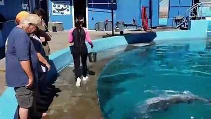 Well, That Was Unexpected! 😆 Best Fails of the Week #funny #viral #video #usa