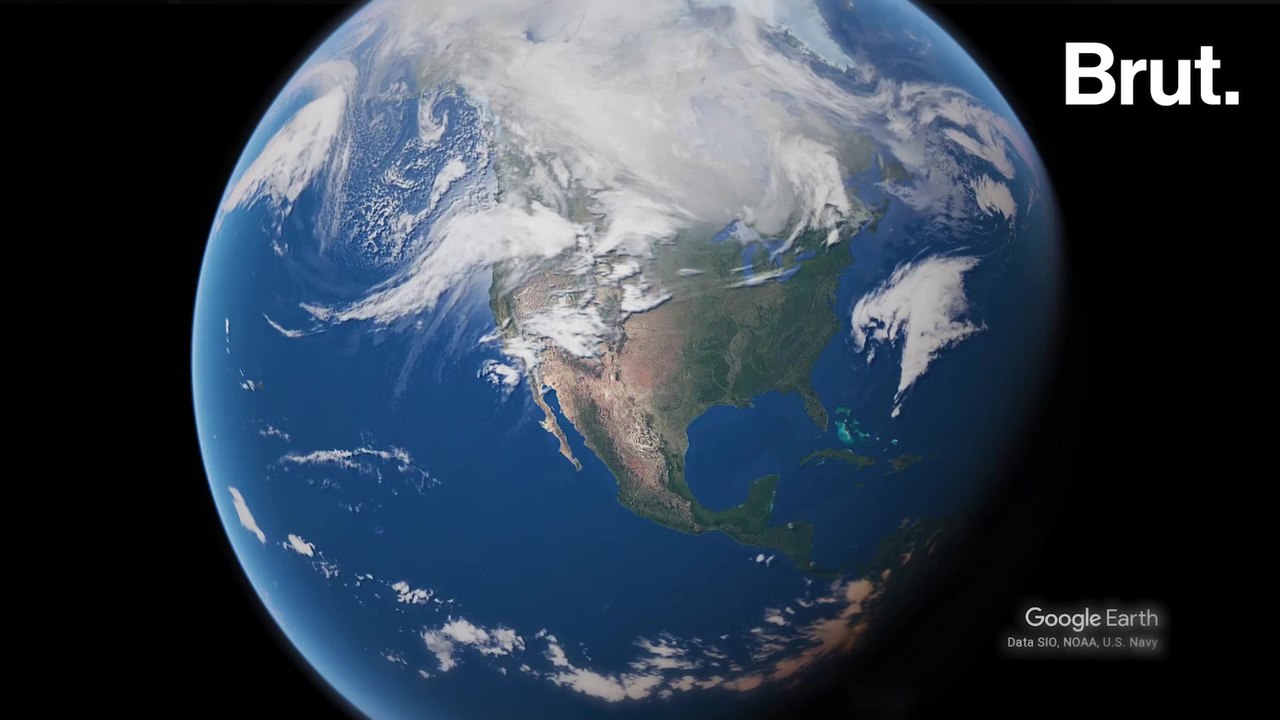 Quand l'armée envoie les animaux en première ligne