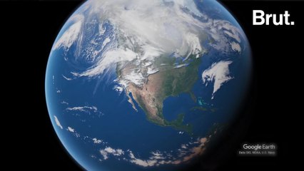 Quand l'armée envoie les animaux en première ligne