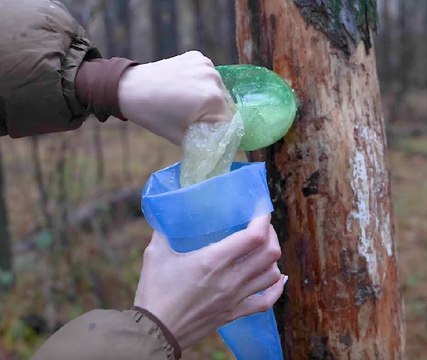 Crafting Accessories with Fur, Wood, Leaves and Even Fish Scale!