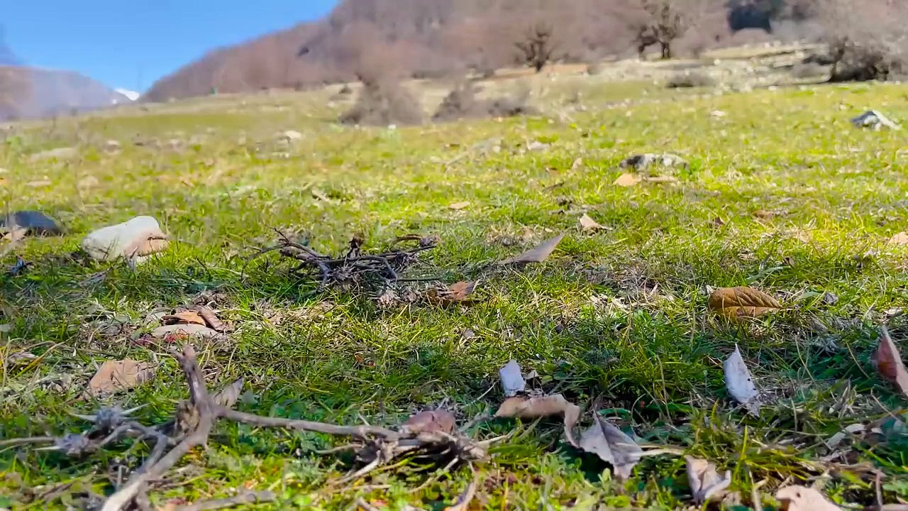 ROAST JIZ-BYZ! DELICIOUS TRADITIONAL AZERBAIJANI DISH