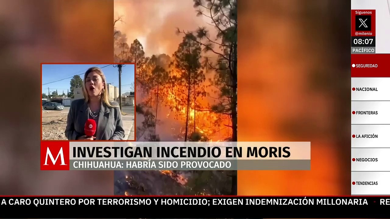 Incendio forestal en Moris, Chihuahua, habría sido provocado; ocurrió cerca de narcolaboratorio