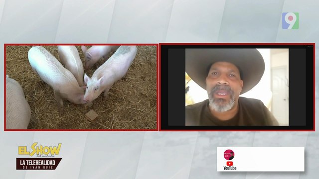 Santiago Riverón: Fiebre porcina causa muerte de cerdos en Dajabón | ESM