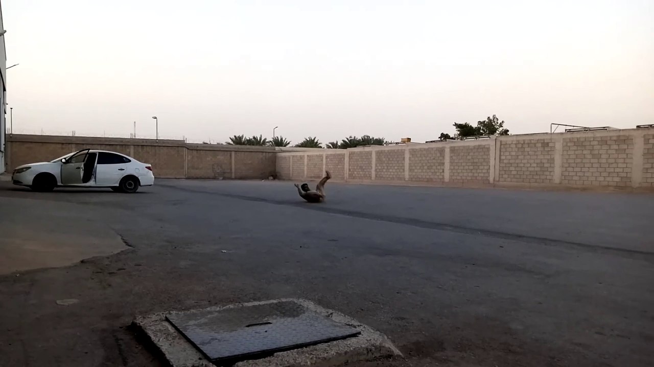 pakistani in saudi #viralvedio#viralreal#pakistani