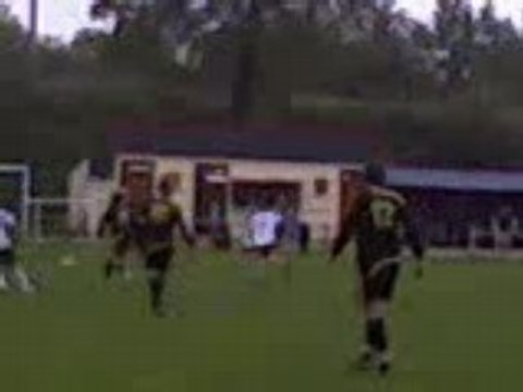 coyotes de saint médard