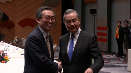 조태열 "APEC계기 시진핑 방한하길"...중국 왕이와 회담 / YTN