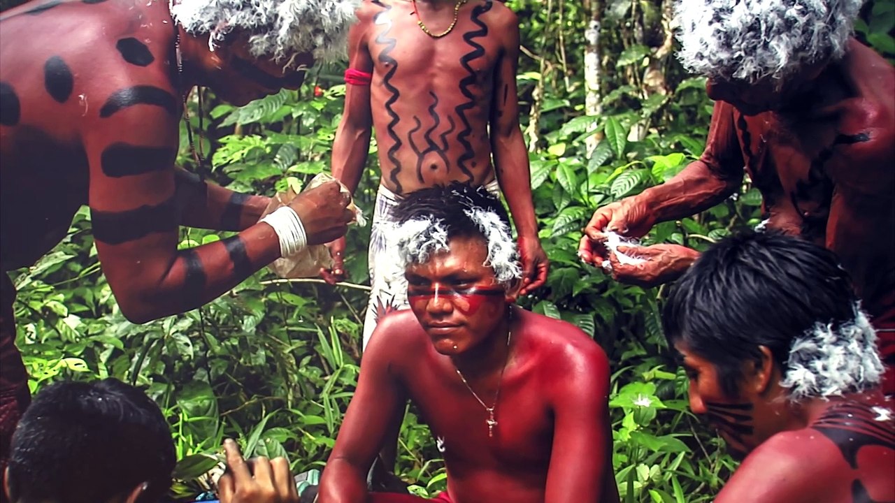 A exposição: “Amazônia Terra em Transe” fica até o dia 20 de abril na Pinacoteca Benedito Calixto na avenida Bartolomeu de Gusmão, 15, Boqueirão, em Santos.