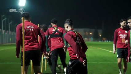Algérie-Mozambique : Dernier entrainement de l'EN au CTN