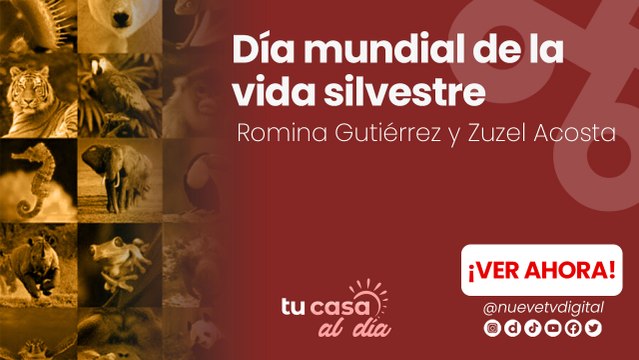 Día mundial de la vida silvestre
