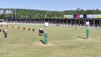Actividades en el Ruedo Don Homero Formoso - P 2 del 2 - Patria Gaucha 2025 - Tacuarembó, tarde del 19/03