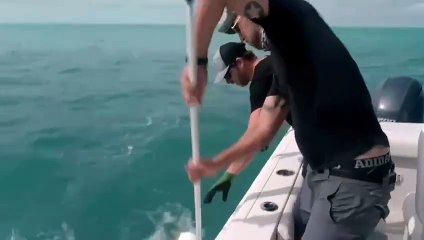 "Welcome to Wildlife Odyssey: Explore the Wild