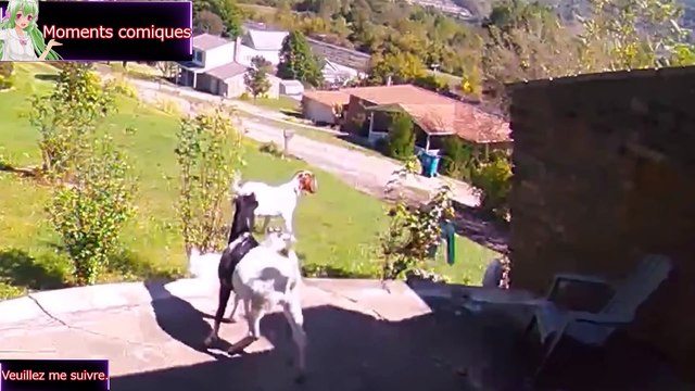 Compilation de vidéos drôles et de fails　Part.2