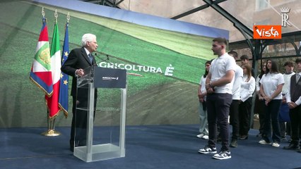 Mattarella: "Senza euro i Paesi Ue sarebbero stati travolti dalla crisi finanziaria"
