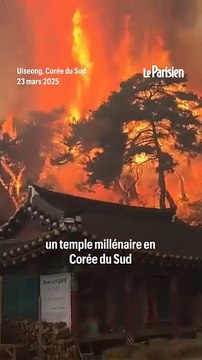 Un temple millénaire détruit par des feux de forêt en Corée du Sud