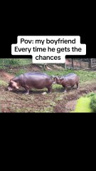 wait for end#jungle #monster #horror #sadako #cree