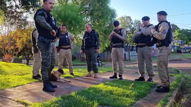 Crueldade em Cascavel: cão é brutalmente agredido com facão no Bairro Morumbi