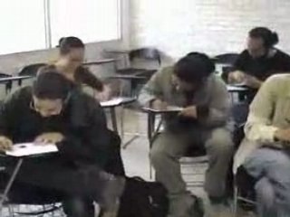 Focus Video Monos Urbanos