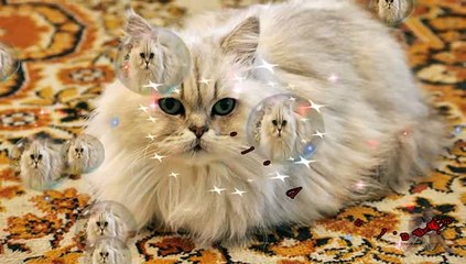 Yanni - Playing By Heart, Ethnicity ....(Bellissima Musica - Ireland ) ♥˜”°•♥