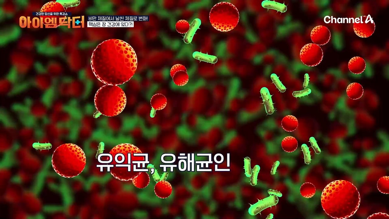 ※채소 칩이 비만을 부를 수도 있다고?!※ 비만 체질과 날씬 체질을 결정짓는다는 '이...