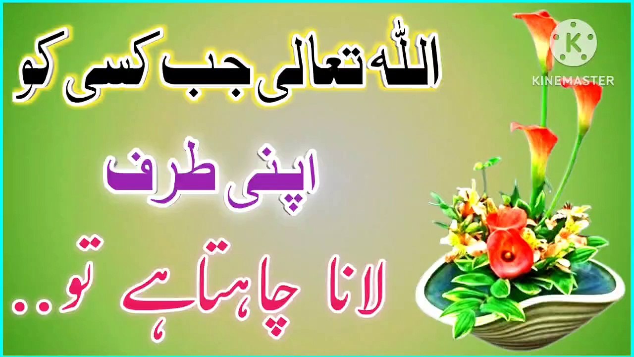 Allah Jab Kisi Ko🔥! Best Urdu Quotes💯! Urdu Islamic Quotes💥! Islamic YouTube🔥! ISLAMIC URDU MEWAT🌴