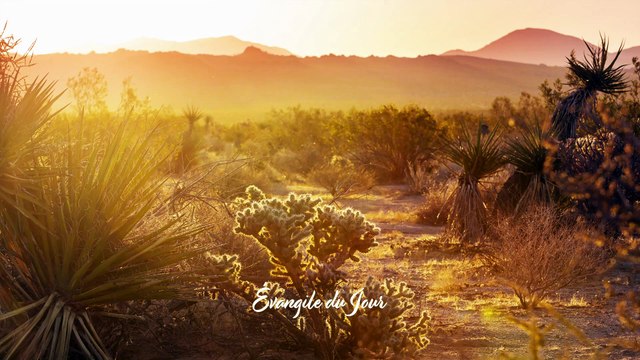 Parole et Évangile du jour | Samedi 22 mars • Tu jetteras au fond de la mer tous nos péchés !