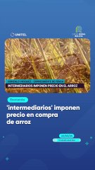 'intermediarios' imponen precio en compra de arroz