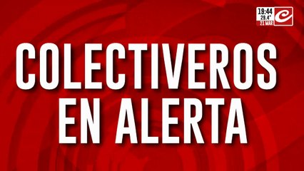 Delincuentes golpearon a una embarazada para robarle