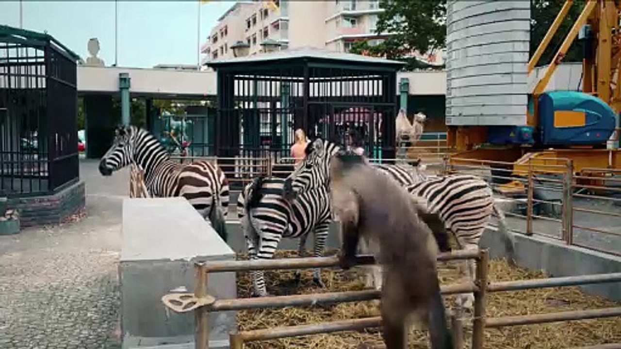 Akiko der fliegende Affe Film