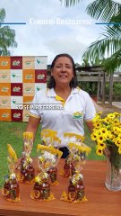 No estado da COP30, a floresta fica em pé graças a esforço coletivo